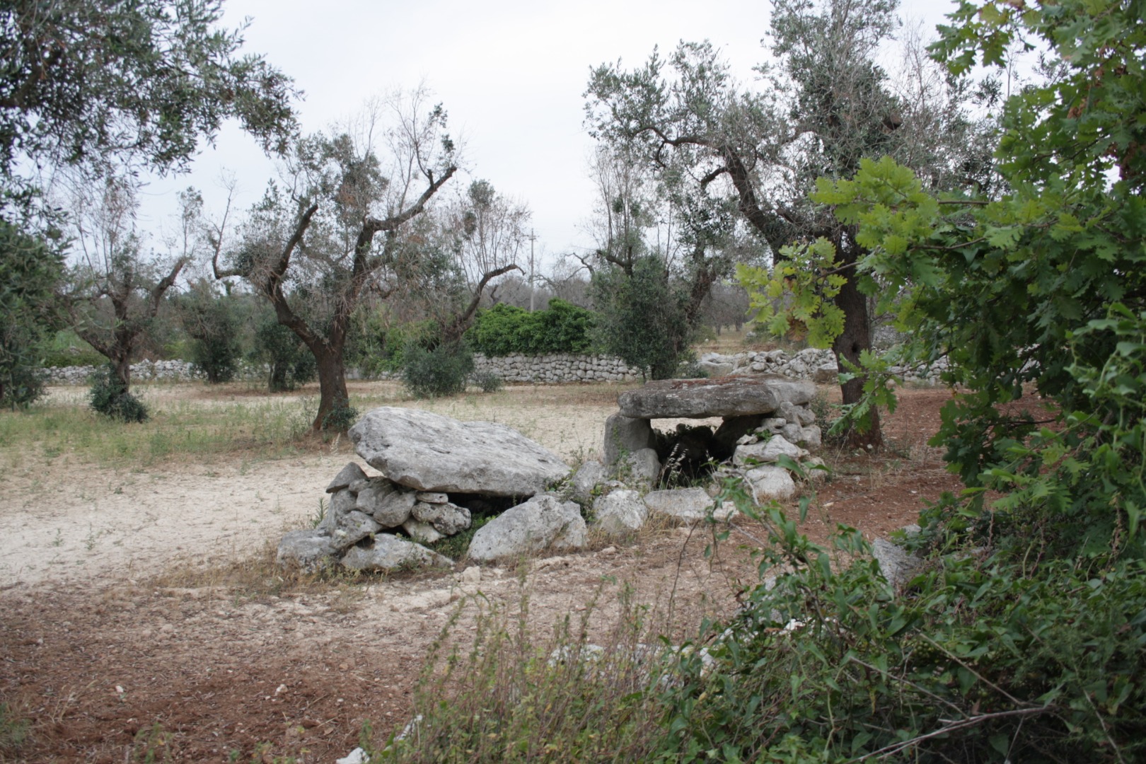 Dolmen Grassi_4